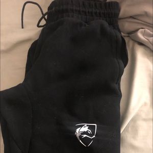 Alphalete origin joggers